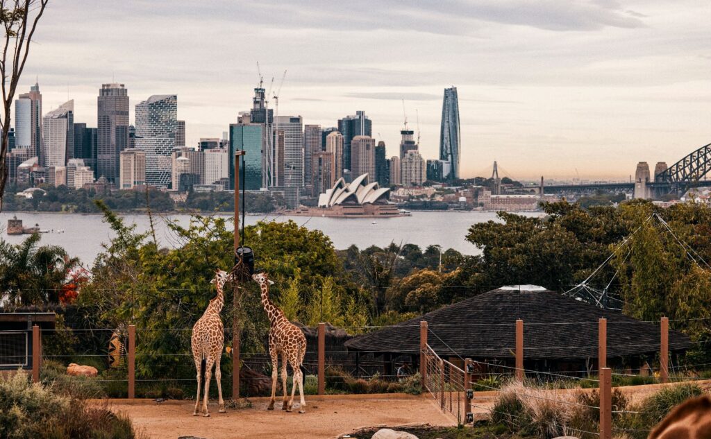 Taronga-Zoo-Sydney